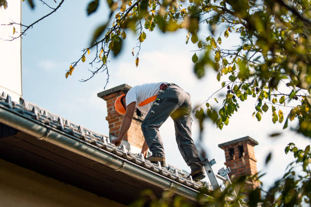 Best Residential Roofing Contractor  in Limestone, IL